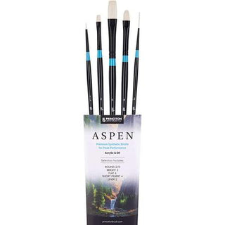 Aspen Professional Brush Set