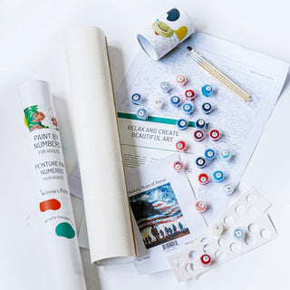 Adult Paint by Number Kits