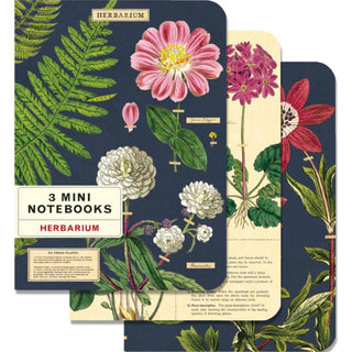 Cavallini & Co. Mini Notebook Sets