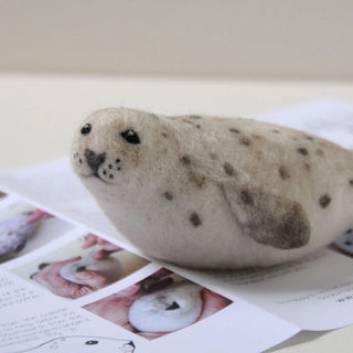 Harbour Seal - Needle Felting Kit