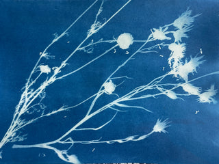 Beginner Cyanotype Workshop