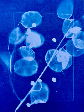 Beginner Cyanotype Workshop